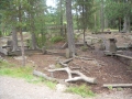 ss 211.jpg