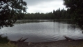 DSC01096.jpg