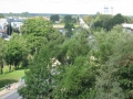 avotins 115.jpg